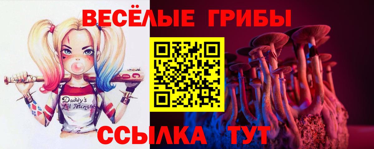 Галлюциногенные грибы MAGIC MUSHROOMS Фрязино